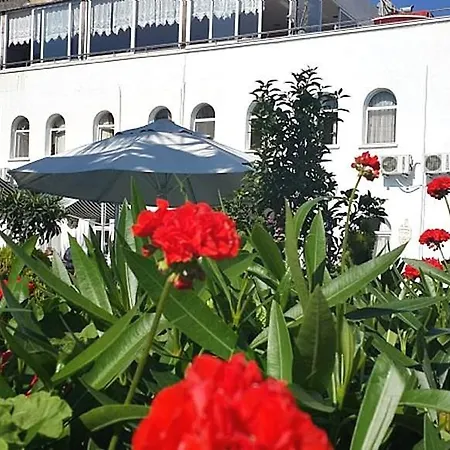 My Marin Тургутрейс