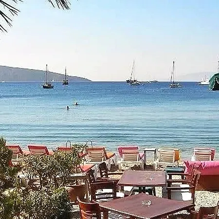 My Marin Тургутрейс